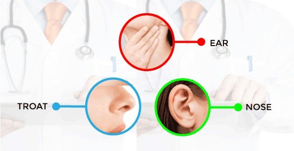 Understanding Common Ear, Nose, and Throat Conditions